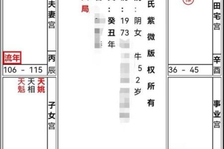紫薇斗数如看今年流年