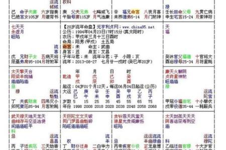 紫薇斗数网站在线排盘
