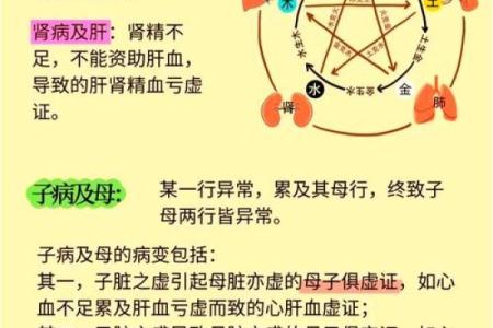 风水师讲解阴阳五行