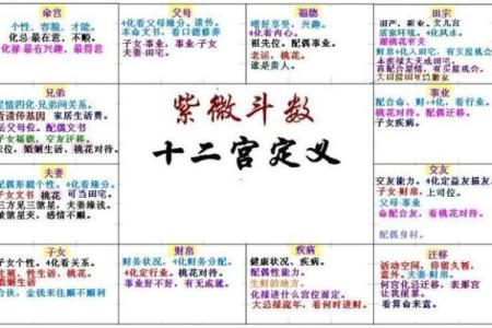 紫薇斗数看情商