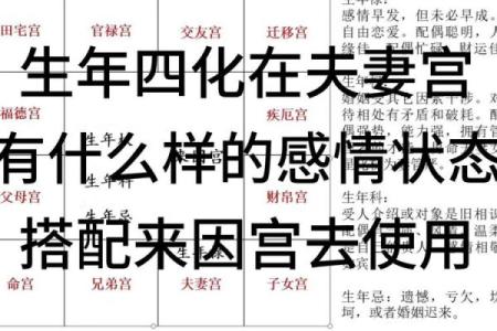 紫薇斗数化禄在夫妻宫