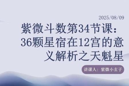 紫薇斗数天贵人