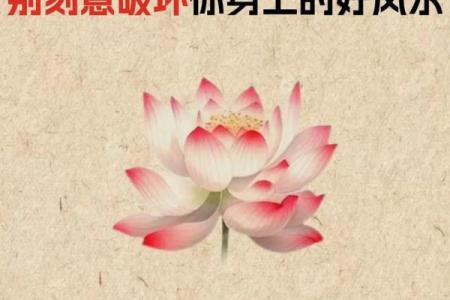 风水之图文并茂，玄机一看就懂