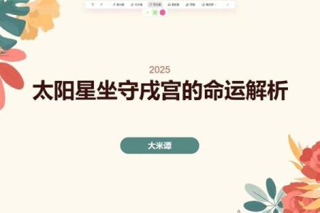 紫薇斗数的太阳是什么意思
