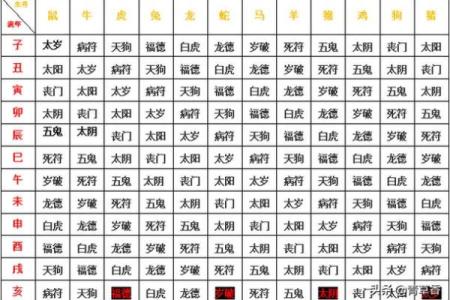 紫微斗数之流星的看法，流年岁前十二神吉凶断：官符