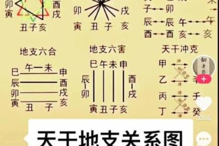 什么八字的人可以当官 八字官运如何