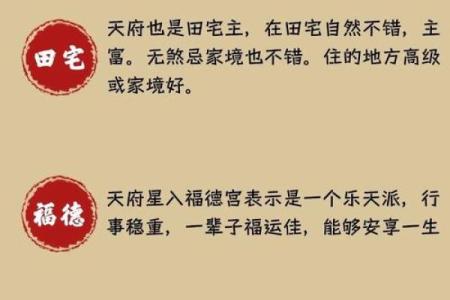 紫微斗数驾照 紫微斗数看学历 考运？