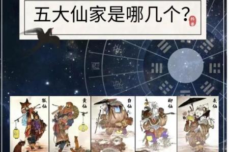梦别人算命