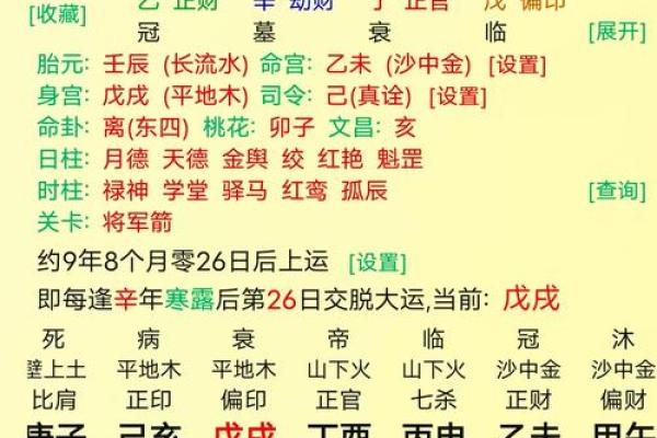 生辰八字星占