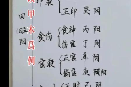如何认识科学算命