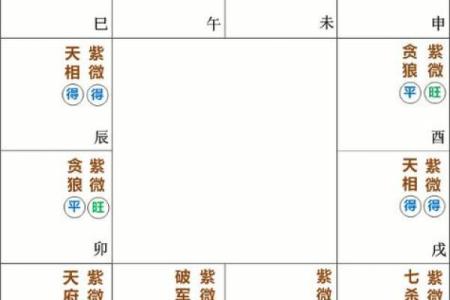 紫微斗数最尊三颗财星，唐艺尹老师独家分析