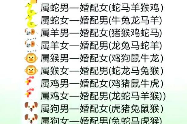属猪的找什么属相最好 不同月份出生属猪的婚配最佳配对