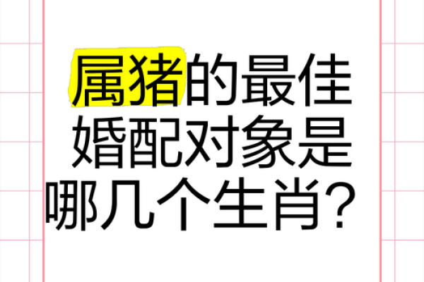 属猪的找什么属相最好 不同月份出生属猪的婚配最佳配对
