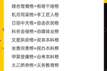 紫微斗数之基本术语