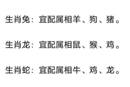 属相配对指数