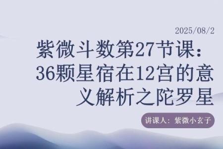 紫薇斗数陀罗