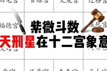 紫薇星入福德宫性格孤僻