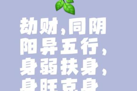 八字劫财通解是什么命