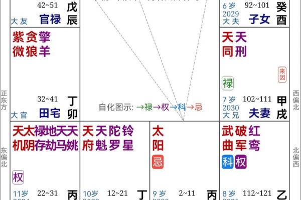 中洲派紫薇斗数