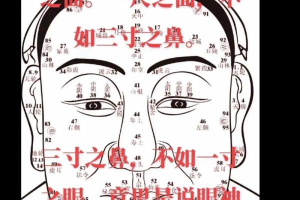 倒八字眉的女人面相好不好