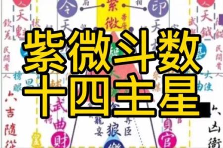 艺术紫薇斗数