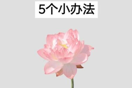 女人如何旺事业，事业风水讲究