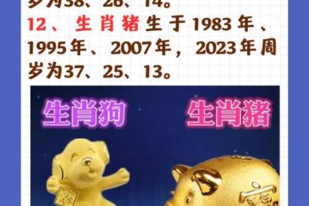 生肖查询：1998年属什么生肖配对