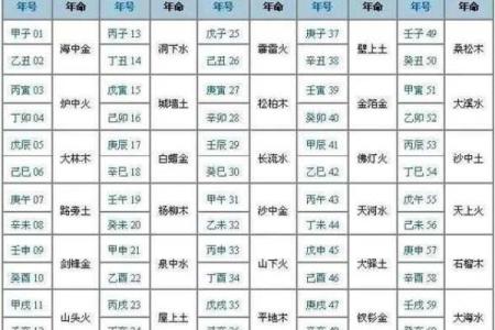 查询八字五行