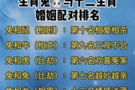 属兔男和什么属相最配对