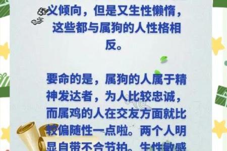 属鸡和什么属相最配对 属鸡和什么属相相冲