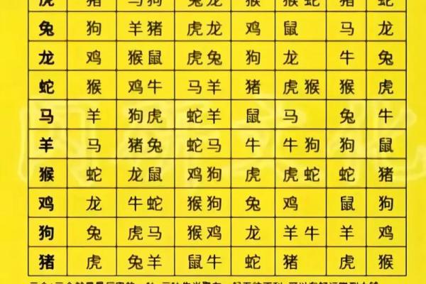 简单算命怎么算