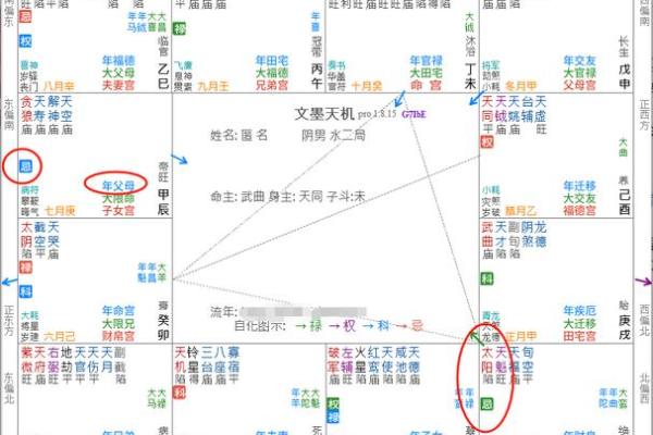 紫微斗数诸星落命宫之：大耗详解