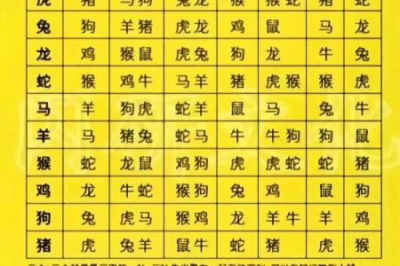 简单算命怎么算