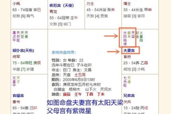 紫薇星入事业宫详解